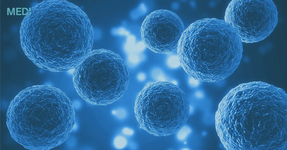 How Do Bioreactors Cultivate Dermal Stem Cells for Therapy?