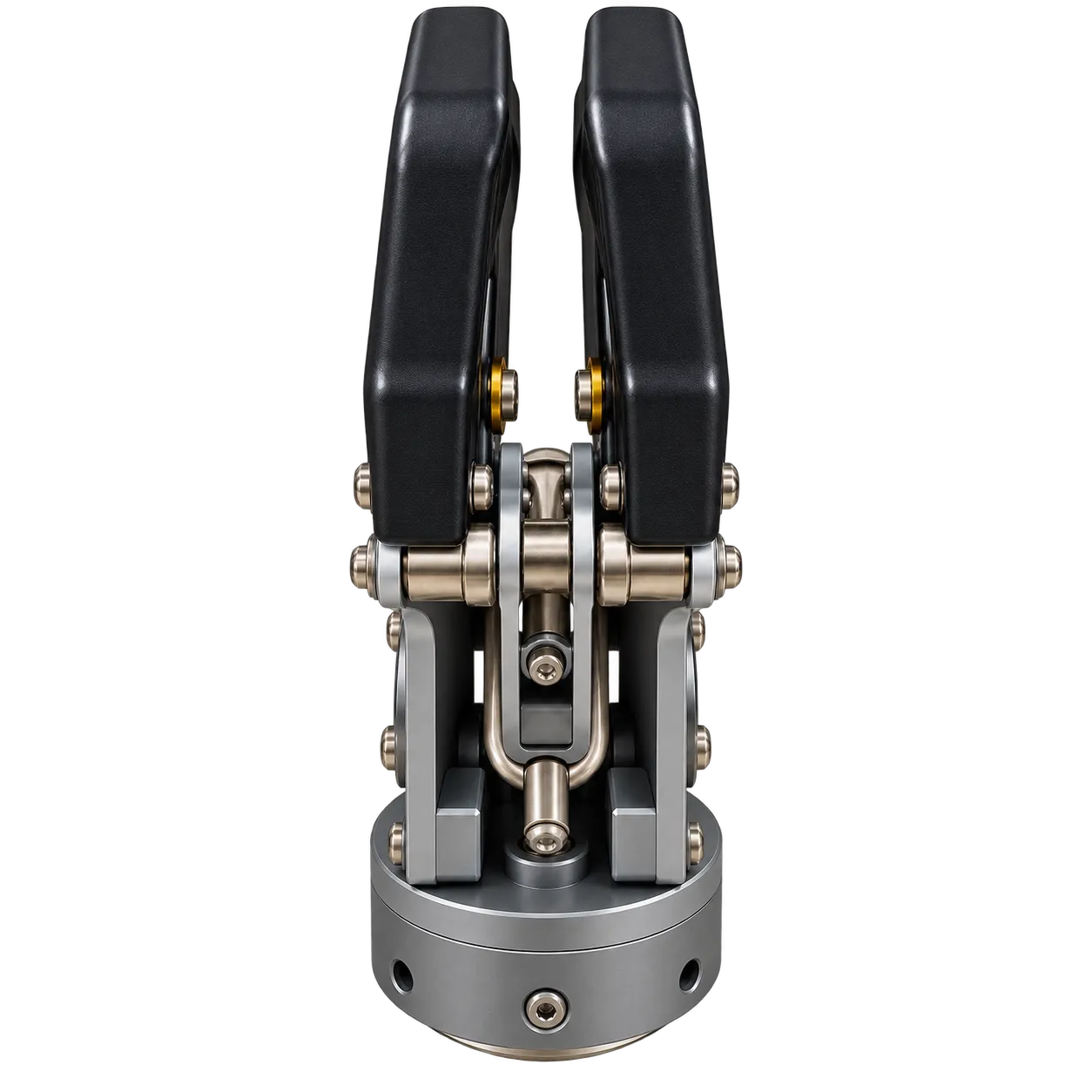 Wonderful CEDH-3