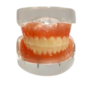 Guccident HST-T21-2
