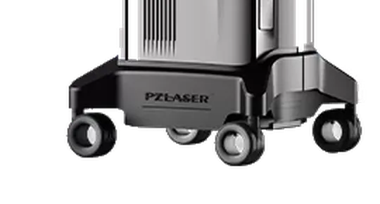 PZLASER RevitaELF 