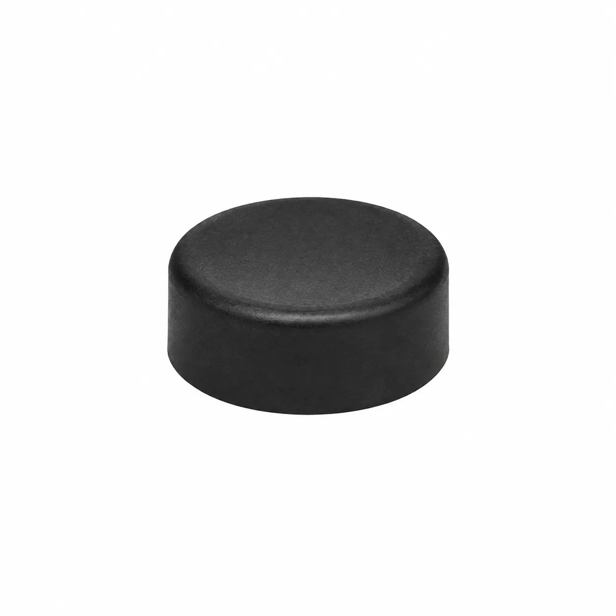 Roundfin RD-T2 Slide Printer