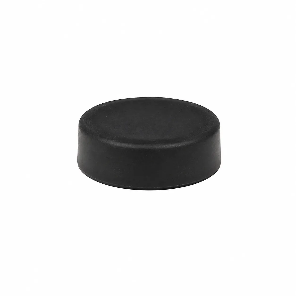 Roundfin XH-1003 Tissue Floating Bath