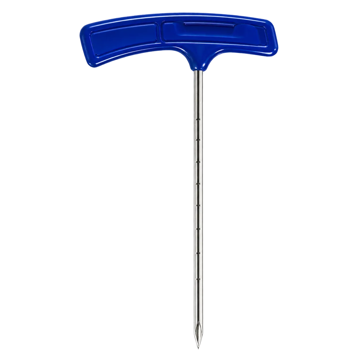 XC Thoracic Vertebra 3.6 
