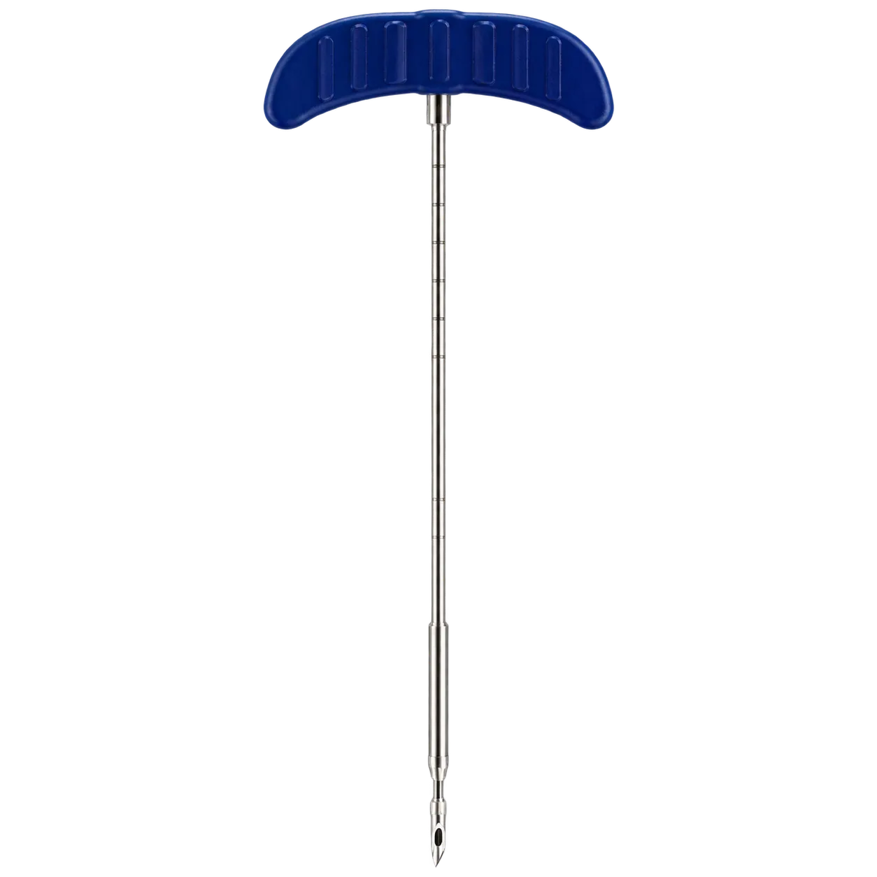 XC Thoracic Vertebra 3.6