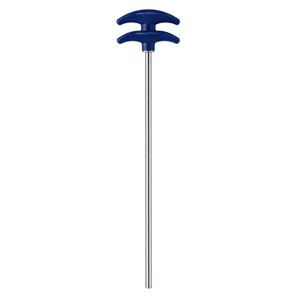 XC Thoracic Vertebra 3.6
