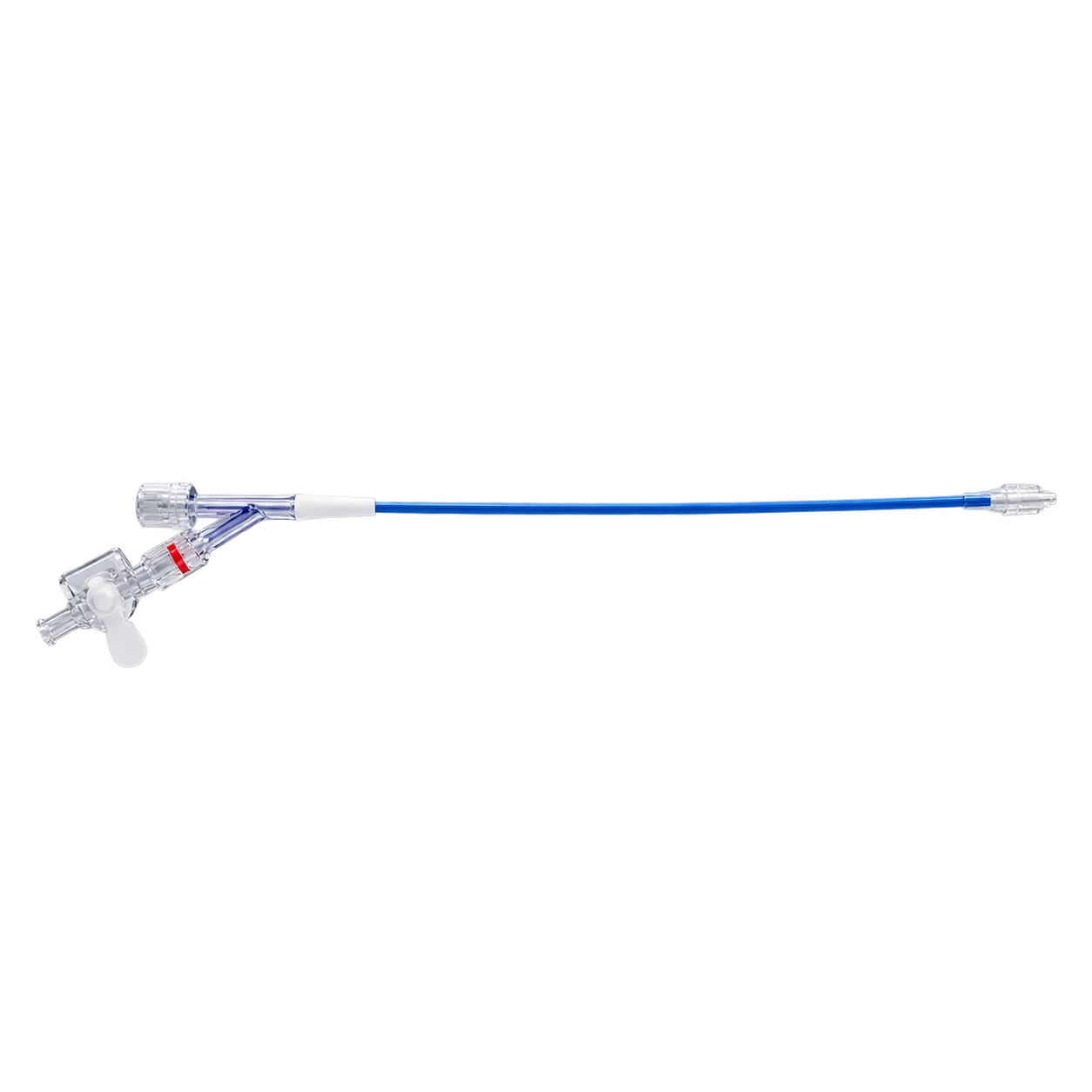 XC Thoracic Vertebra 3.6
