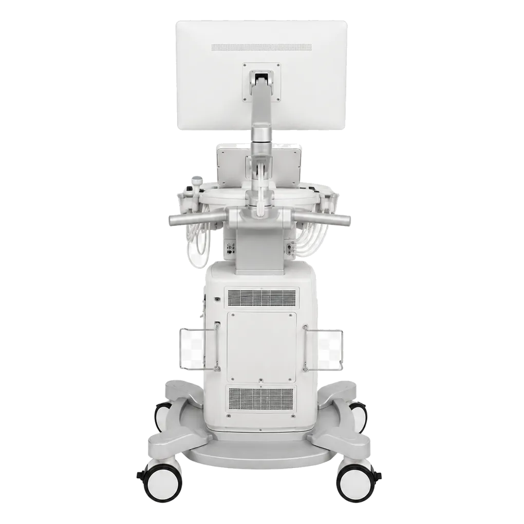 GE Vivid T8