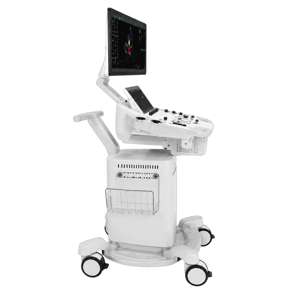 GE Vivid T8