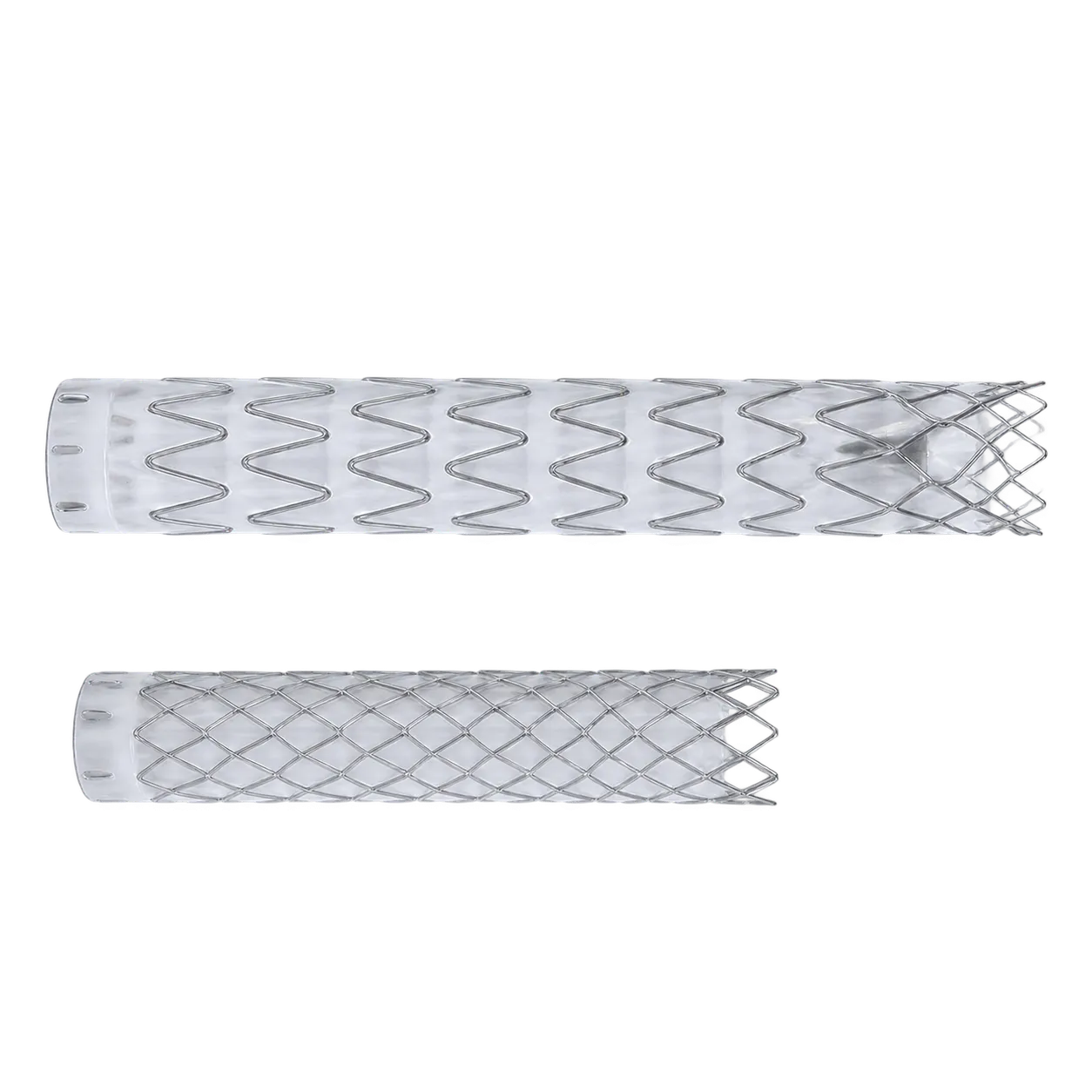 INT Medical Aortic Stent Graft