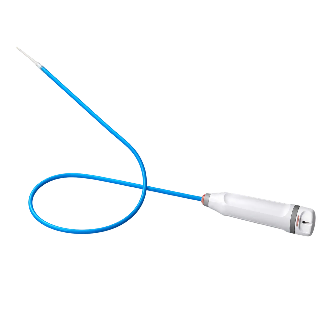 INT Medical Fenestrated Thoracic Stent Graft