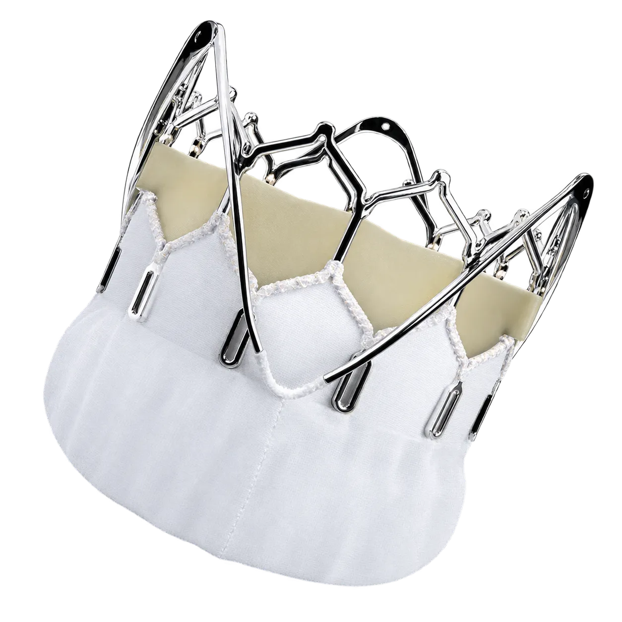 INT Medical Pericardium Heart Valve
