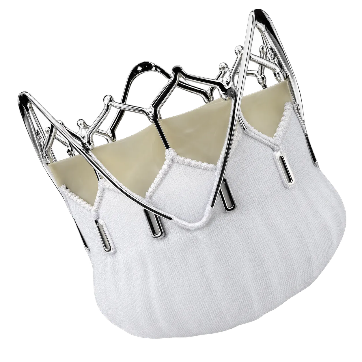 INT Medical Pericardium Heart Valve