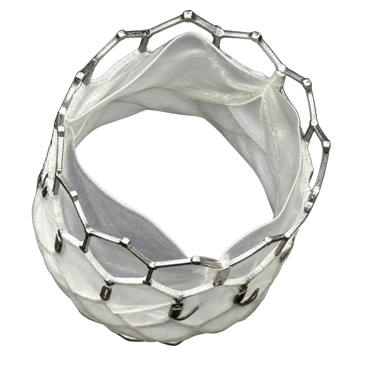 INT Medical Polymeric Heart Valve