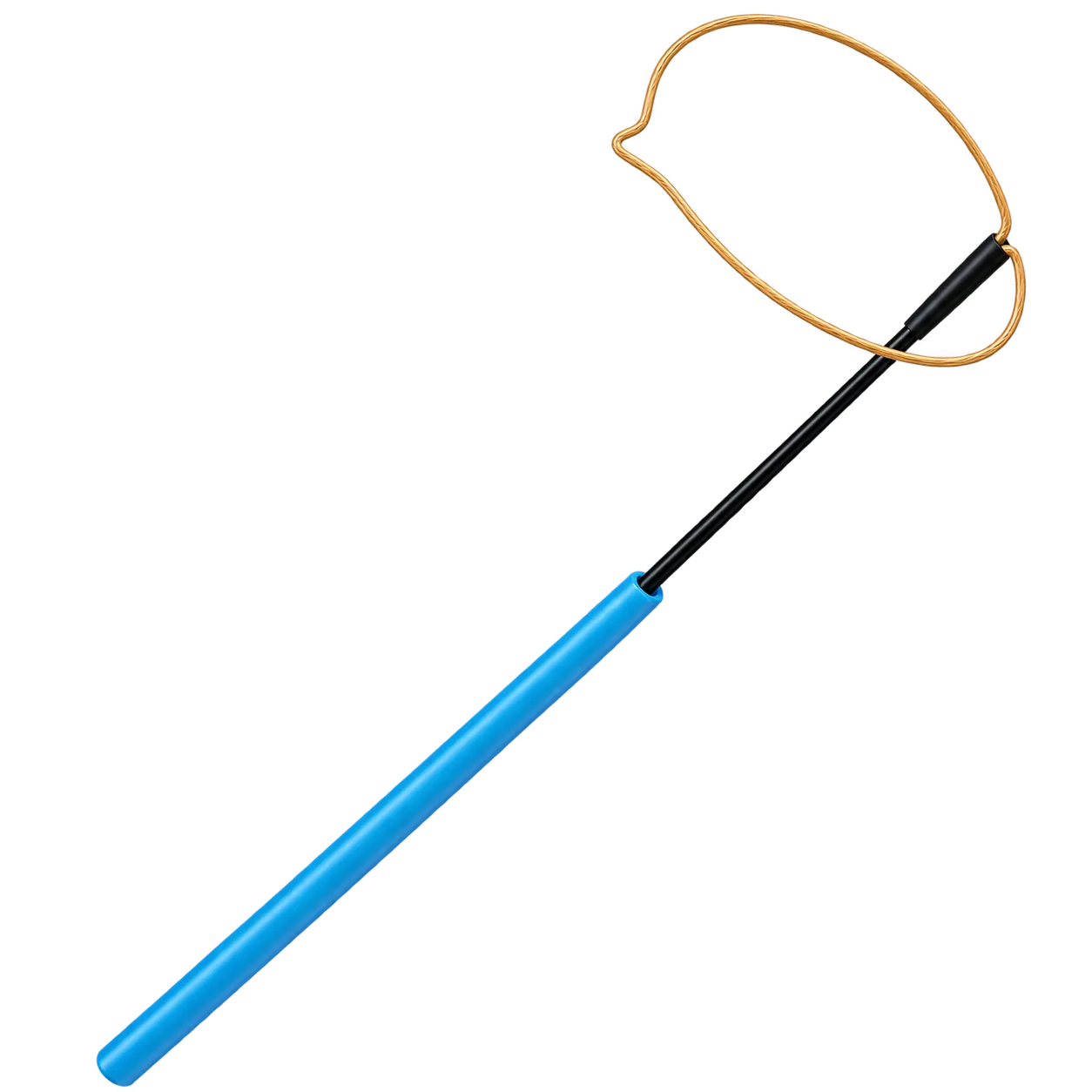 INT Medical Retrieval Snare
