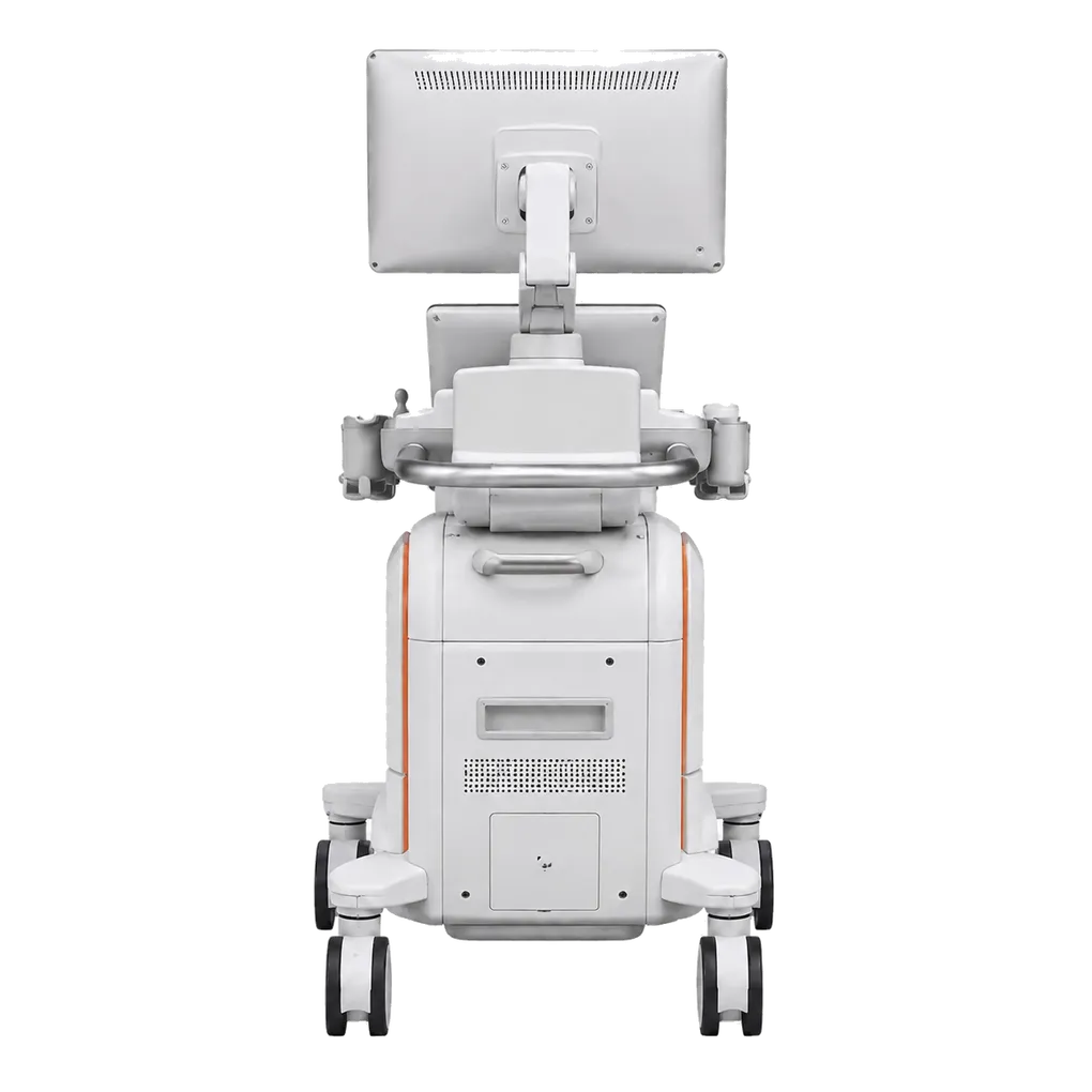 SIEMENS Acuson Redwood